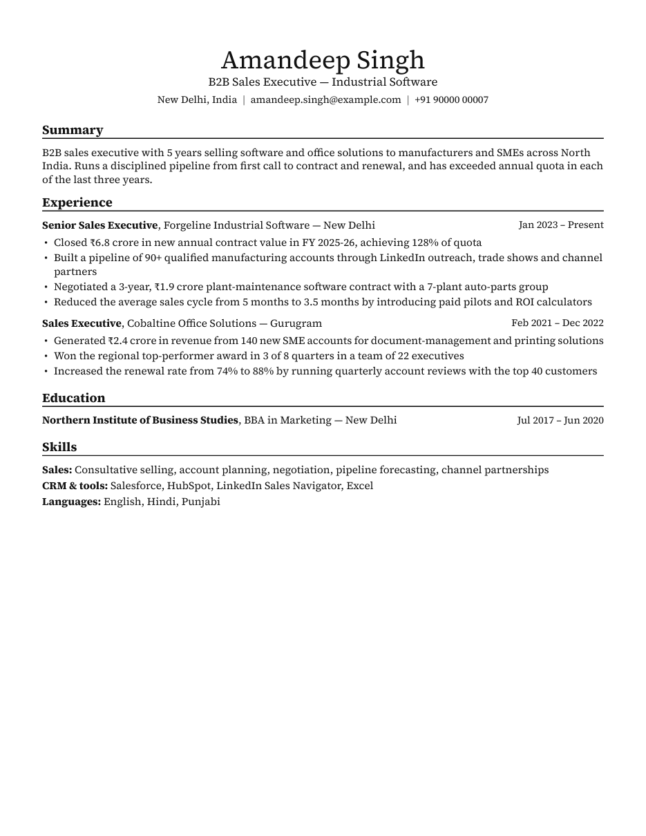 B2B Sales Executive resume example preview